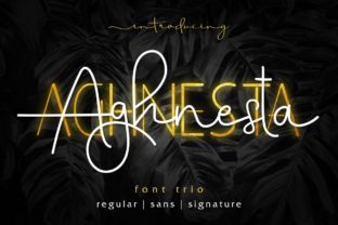 Aghnesta Trio: The Script Handwritten Font for Modern Campaigns