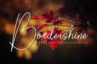 Bordershine: A Script Handwritten Font for Modern Campaigns