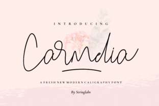 Carmelia Font: Elevate Your Campaign Visuals