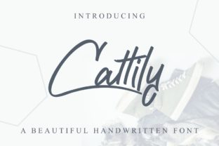 Cattily: A Casual Script Font for Modern Editorial Design
