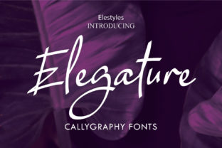 Elegature Font Review for Digital Campaigns