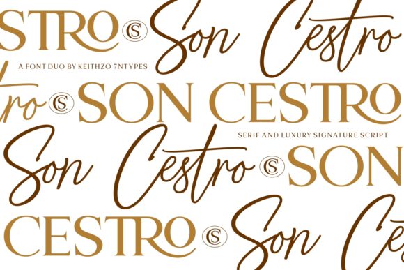 Son Cestro Duo: The Perfect Typeface for Small Business Branding