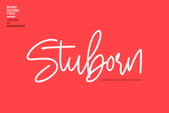 Stuborn Script Font for Authentic Campaign Design